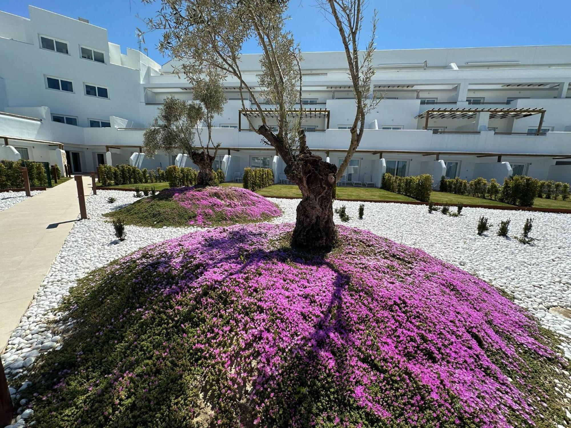 Punta Candor Suites Rota Exterior photo